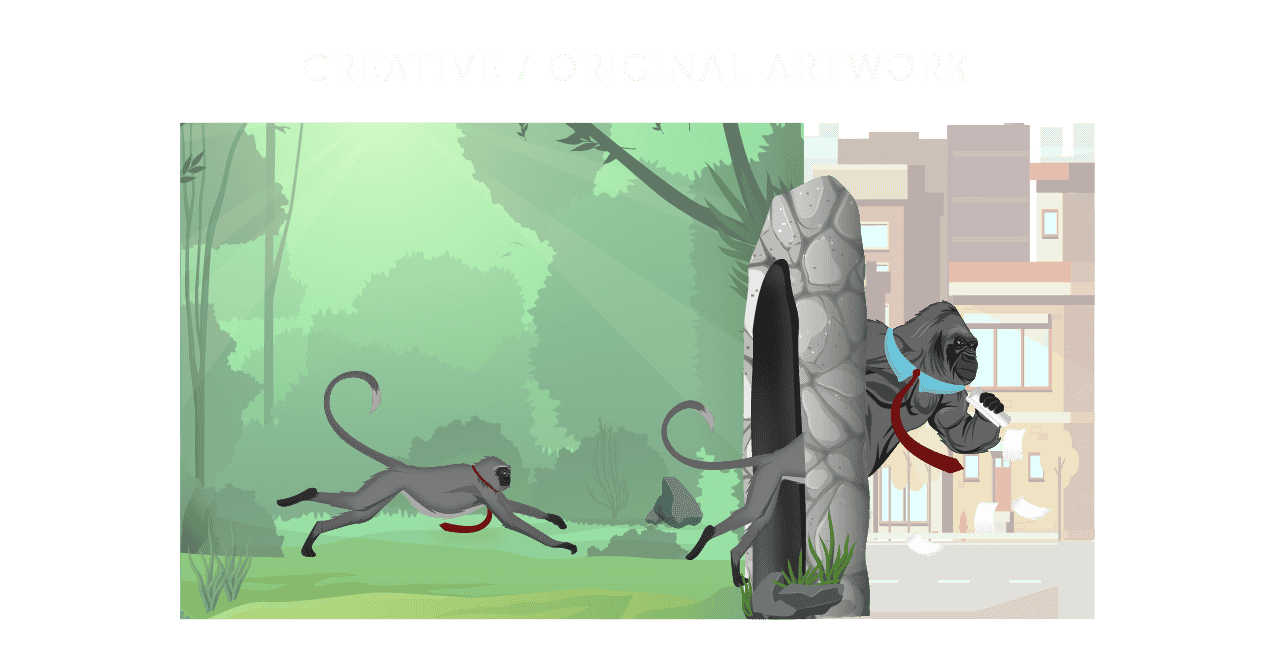 portfolio-img